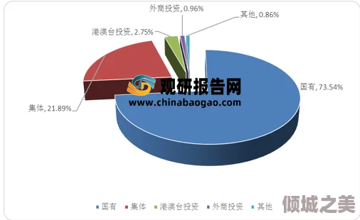 脚控免费网站 Xx视频：探讨其在网络文化中的影响与发展趋势，分析用户行为及内容创作的多样性