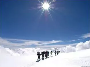 胡桃玩旅行者小昆昆：通过这个活动，了解旅行者的冒险精神和昆昆的可爱特征，感受友谊与探索的乐趣